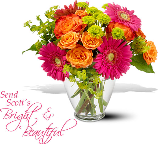 Send Bright and Beautiful Blooms today from Scott's!