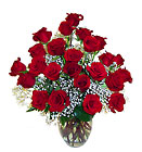 Scott's Two Dozen Medium Stem Roses