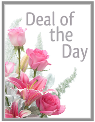 Deal of the Day from Scott's House of Flowers in Lawton, OK