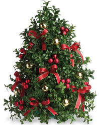 <b>Deck the Halls</b>