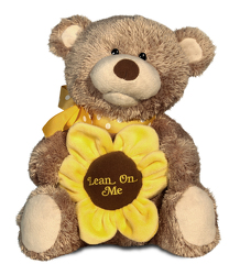 Lean on Me Bear from Scott's House of Flowers in Lawton, OK