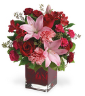 Scott's Love in Bloom