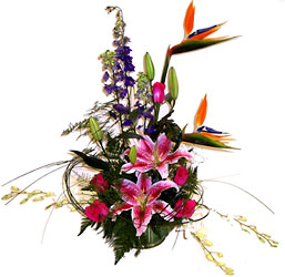 <b>Contemporary Tropical Deluxe</b> from Scott's House of Flowers in Lawton, OK