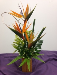 <b>Simply Tropical</b> from Scott's House of Flowers in Lawton, OK