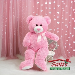 Valentine Plush Pink Bear from Scott's House of Flowers in Lawton, OK