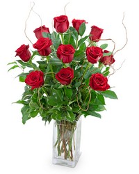 Dozen Red Roses with Willow from Scott's House of Flowers in Lawton, OK