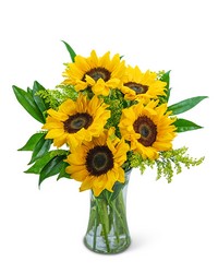 Sprinkle of Sunflowers from Scott's House of Flowers in Lawton, OK
