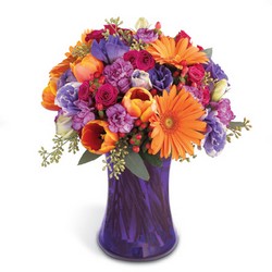 Bright & Beautiful