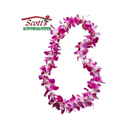 Orchid Lei  from Scott's House of Flowers in Lawton, OK