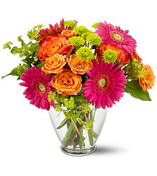 Bright & Beautiful