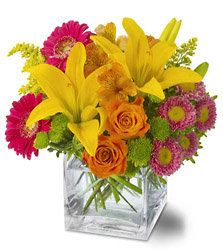 Mom's Delight