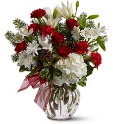 <b>Holiday Elegance</b>