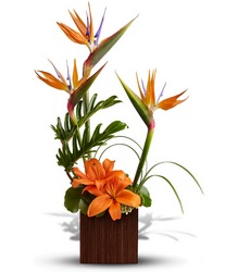 <b>Bamboo Paradise</b>