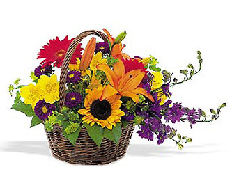 <b>Basket of Blooms</b> from Scott's House of Flowers in Lawton, OK