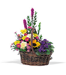 <b>Scott's Blooms of Summer Basket</b> from Scott's House of Flowers in Lawton, OK