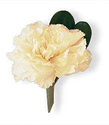 <b>White Carnation Boutonniere</b> from Scott's House of Flowers in Lawton, OK
