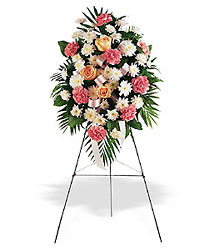 Sincere Thoughts Standing Spray