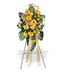 Golden Sympathies Spray