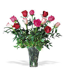 Mixed Premium  Long Stem Roses