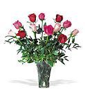 Mixed Premium  Long Stem Roses
