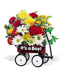 <b>Baby's First Wagon</b> from Scott's House of Flowers in Lawton, OK
