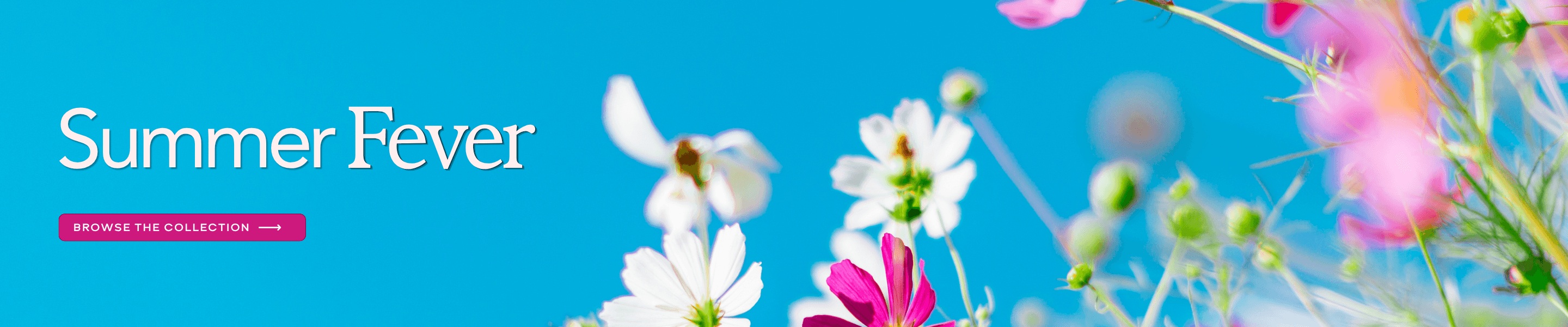 Summer Fever? Click here to shop our Summer Collection.