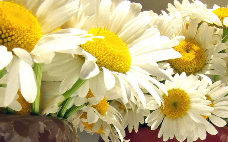 Lawton OK Florist, Flower Delivery to Lawton, Fort SillScott's House