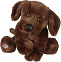 Webkinz Retailer in Lawton, Oklahoma, Scott's House of Flowers