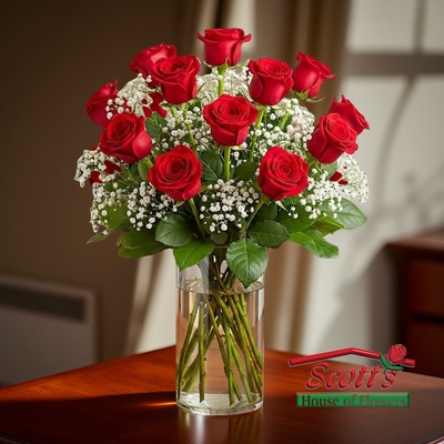 One Dozen Red Premium Long Stem Roses from Scott's House of Flowers in Lawton, OK
