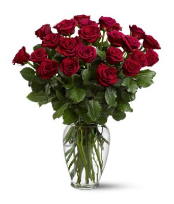 <b>Two Dozen Red Premium Long Stem Roses</b> from Scott's House of Flowers in Lawton, OK