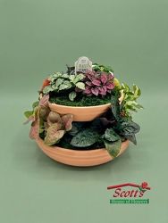 Two Tier Terracotta Dish Garden from Scott's House of Flowers in Lawton, OK
