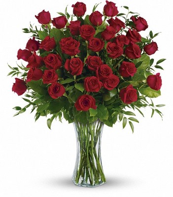 <b>Three Dozen Red Premium Long Stem Roses</b> from Scott's House of Flowers in Lawton, OK