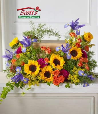 A Life So Bright Cremation Surround from Scott's House of Flowers in Lawton, OK A Life So Bright Cremation Surround from Scott's House of Flowers in Lawton, OK