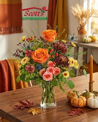 Brindle Meadow (F15) from Scott's House of Flowers in Lawton, OK
