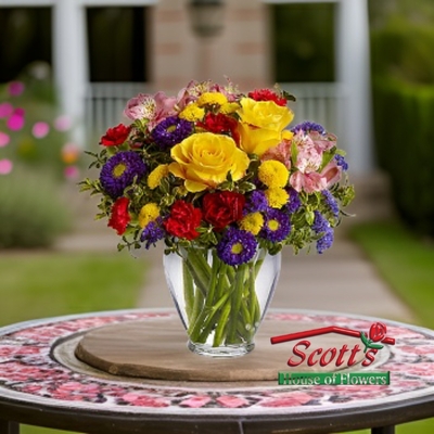 Brighten Your Day from Scott's House of Flowers in Lawton, OK