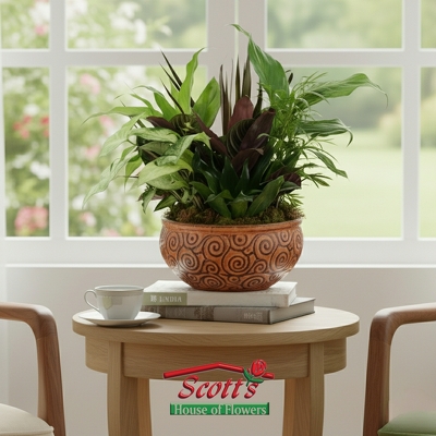 Ceramic Dish Garden from Scott's House of Flowers in Lawton, OK