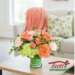 Coral Calma from Scott's House of Flowers in Lawton, OK