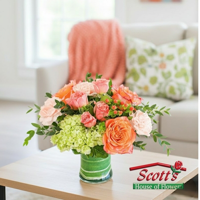 Coral Calma from Scott's House of Flowers in Lawton, OK