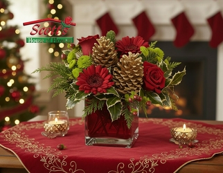 Cozy Christmas (C10) from Scott's House of Flowers in Lawton, OK