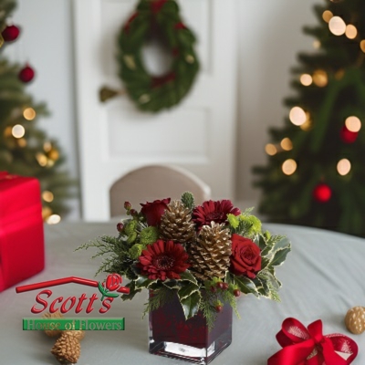 Cozy Christmas from Scott's House of Flowers in Lawton, OK