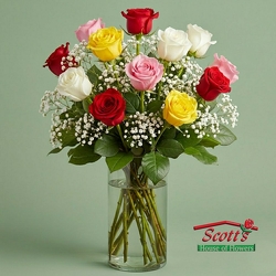 Dozen Long Stem - Mother's Day from Scott's House of Flowers in Lawton, OK