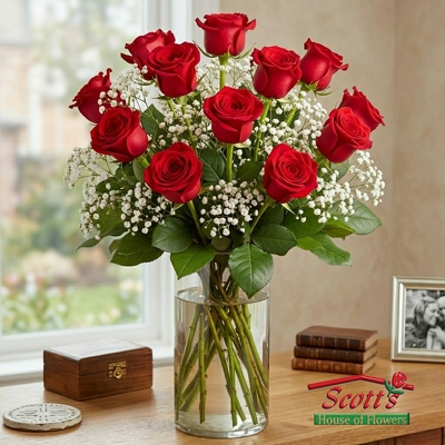 One Dozen Red Premium Long Stem Roses One Dozen Red Premium Long Stem Roses