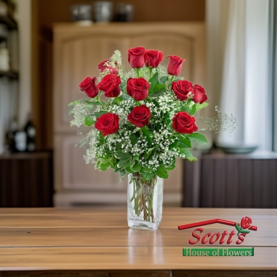 <b>One Dozen Red Premium Long Stem Roses</b>