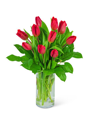 <b>Tulips</b> from Scott's House of Flowers in Lawton, OK