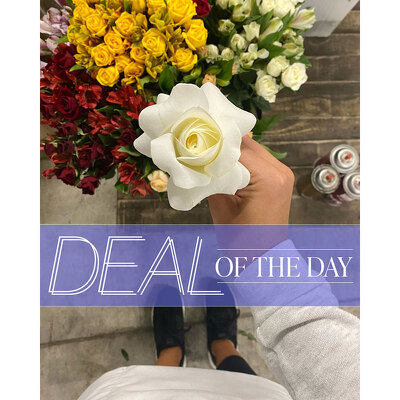 Deal of the Day from Scott's House of Flowers in Lawton, OK