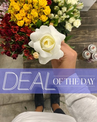 Deal of the Day from Scott's House of Flowers in Lawton, OK