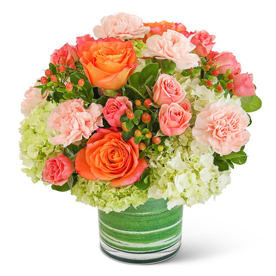 Coral Nectar from Scott's House of Flowers in Lawton, OK