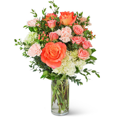 Malibu Paradise from Scott's House of Flowers in Lawton, OK