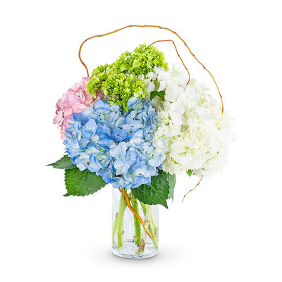 Sweet Hydrangea from Scott's House of Flowers in Lawton, OK