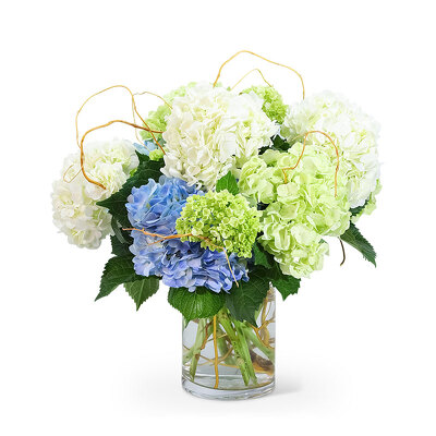 "Hello, Hydrangea!" from Scott's House of Flowers in Lawton, OK